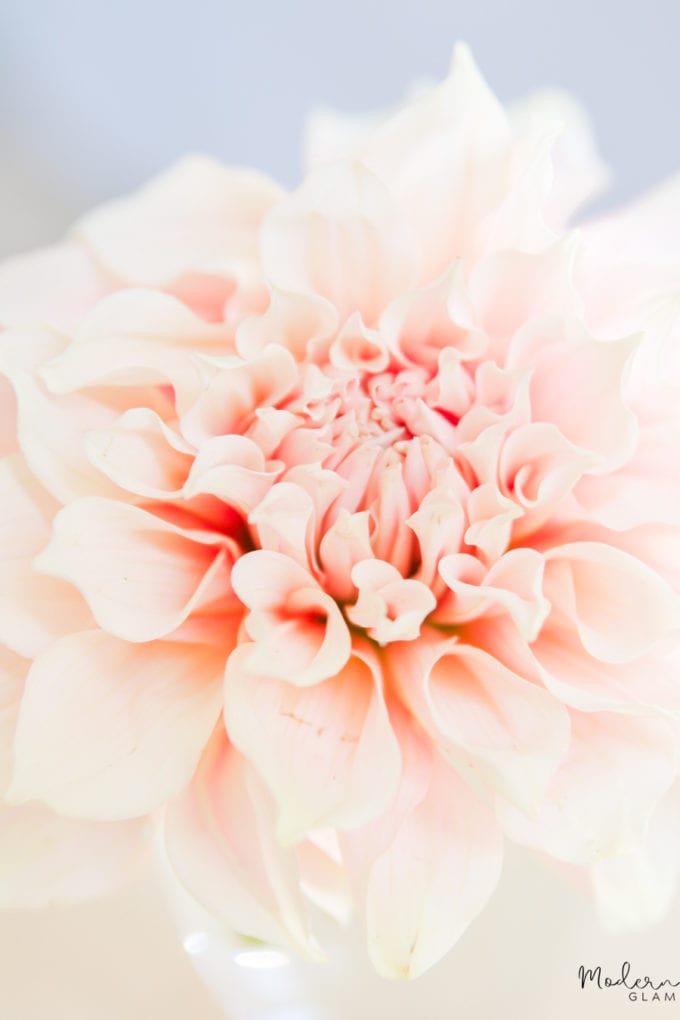 Rustic Summer Centerpiece with Dahlias - Modern Glam