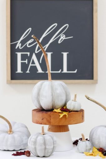 DIY Painted Pumpkins That Look Like Cement - Modern Glam - DIY