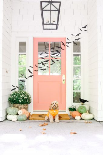 Flying Bats Halloween Front Porch Decor - Modern Glam