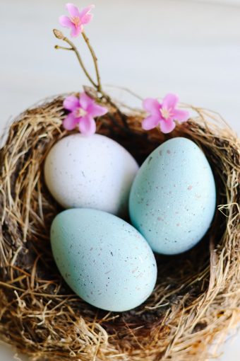 DIY Painted Robins Eggs for Easter Decor - Modern Glam
