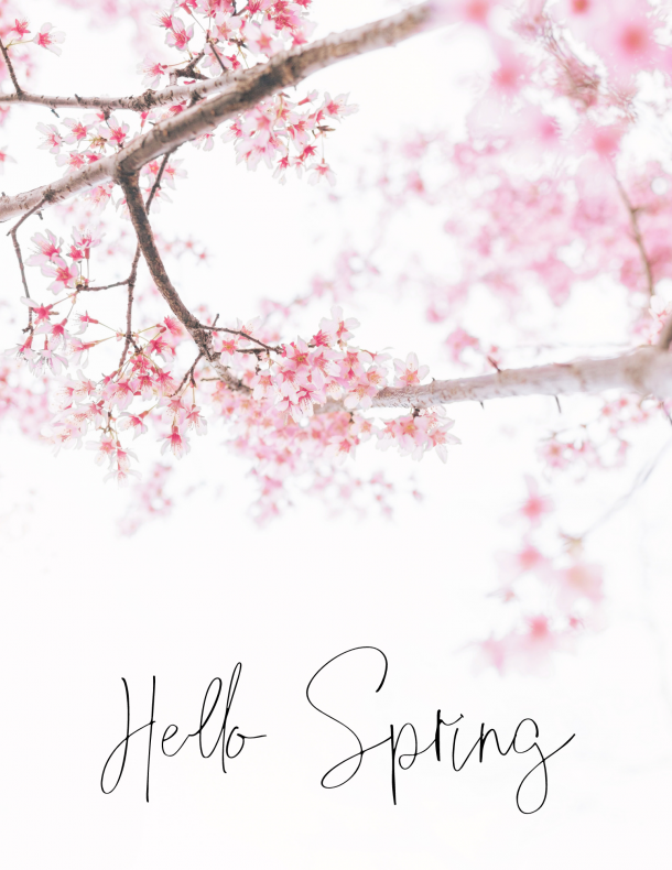 Cherry Blossom Printable Art For Spring - Modern Glam