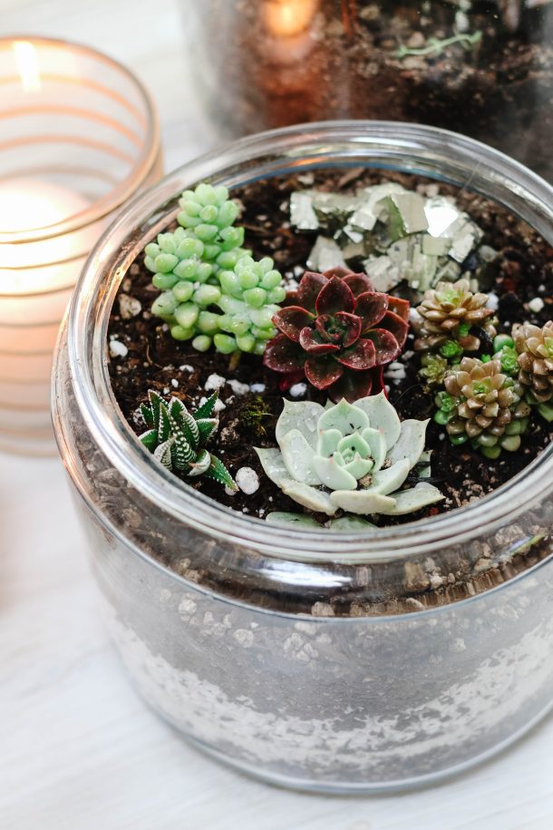 How To Make A Beautiful Succulent Terrarium - Modern Glam