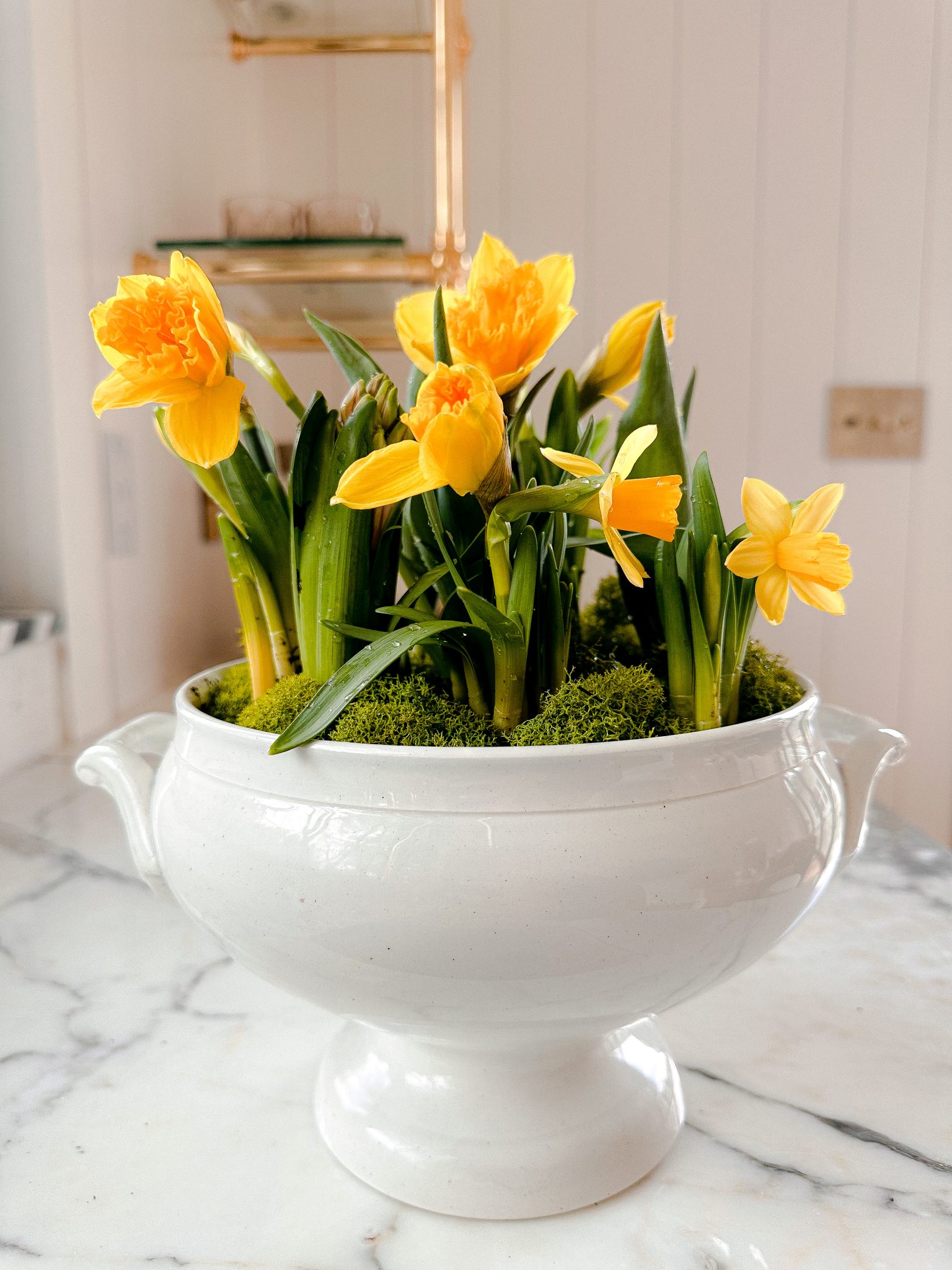 Flowering Bulb Centerpiece in Vintage Ironstone - Modern Glam